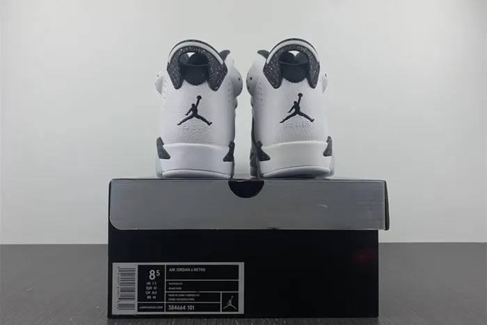 Air Jordan 6 VI Retro Oreo 384664 101