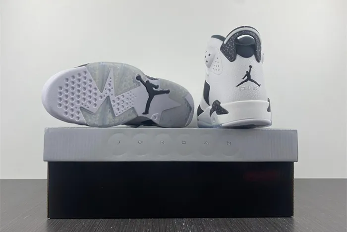 Air Jordan 6 VI Retro Oreo 384664 101