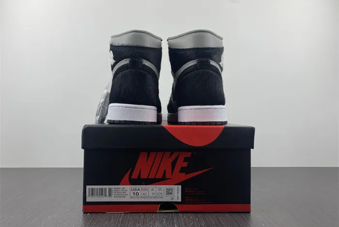 Jordan 1 High OG Twist 2.0 DZ2523-001