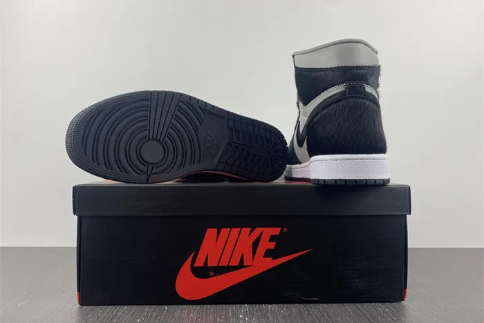 Jordan 1 High OG Twist 2.0 DZ2523-001