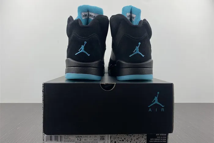 Air Jordan 5 Aqua DD0587-047
