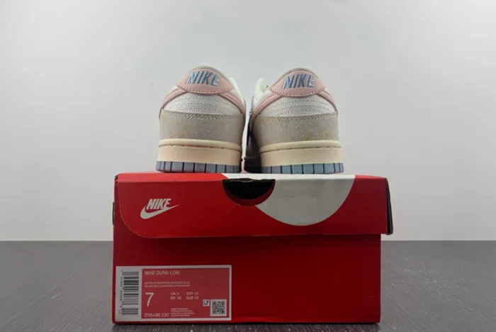 Nike Dunk Low Oxidized White Pink Blue DV6486 100