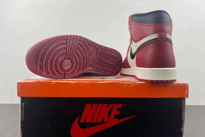 JORDAN 1 CHICAGO REIMAGINED DZ5485 612