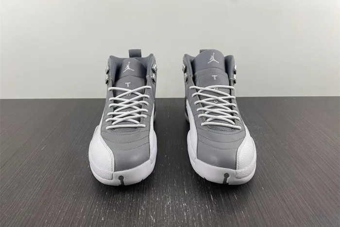 JORDAN 12 RETRO STEALTH CT8013-015