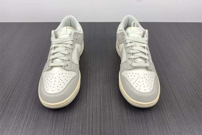NIKE DUNK LOW White Gray DD1503-107