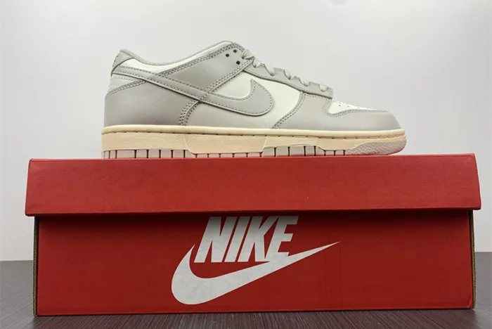 NIKE DUNK LOW White Gray DD1503-107