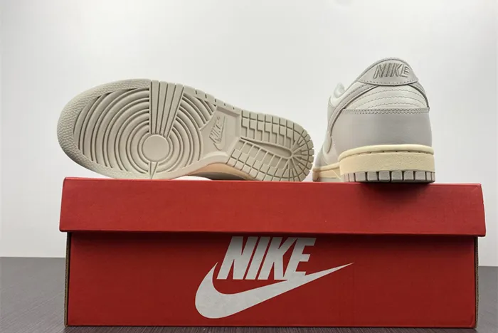 NIKE DUNK LOW White Gray DD1503-107