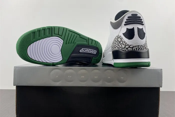 Air Jordan 3 retro Oregon PIT Crew 594282-233