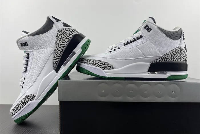 Air Jordan 3 retro Oregon PIT Crew 594282-233