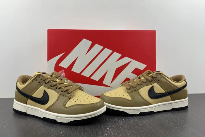 Nike Dunk Low Dark Driftwood Black Sesame Sail DD1503 200