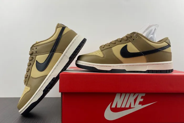 Nike Dunk Low Dark Driftwood Black Sesame Sail DD1503 200