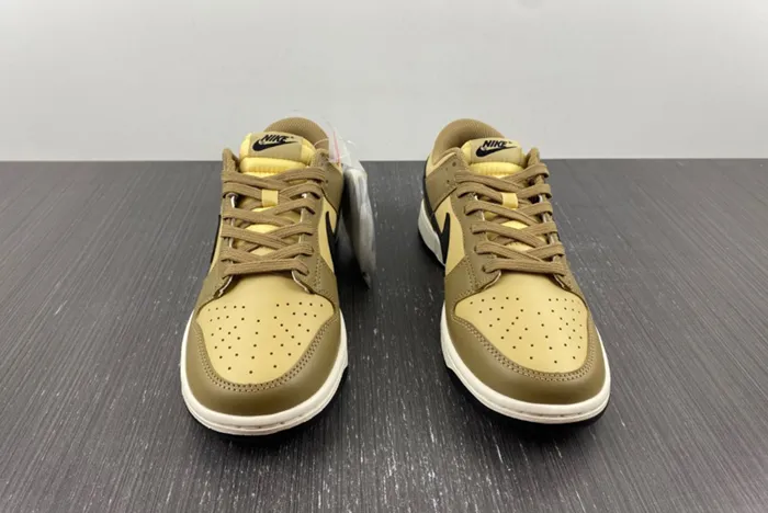 Nike Dunk Low Dark Driftwood Black Sesame Sail DD1503 200