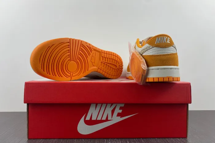 Nike Dunk Low “Safari Swoosh” DR0156-800