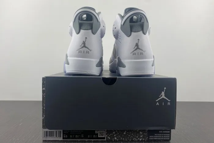 Air Jordan 6 White Medium Grey Cool Grey CT8529 100