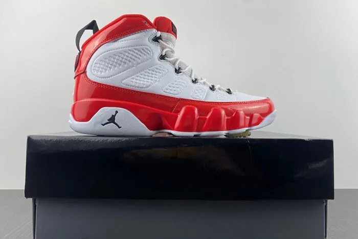Air Jordan 9 Gym Red 302370-160