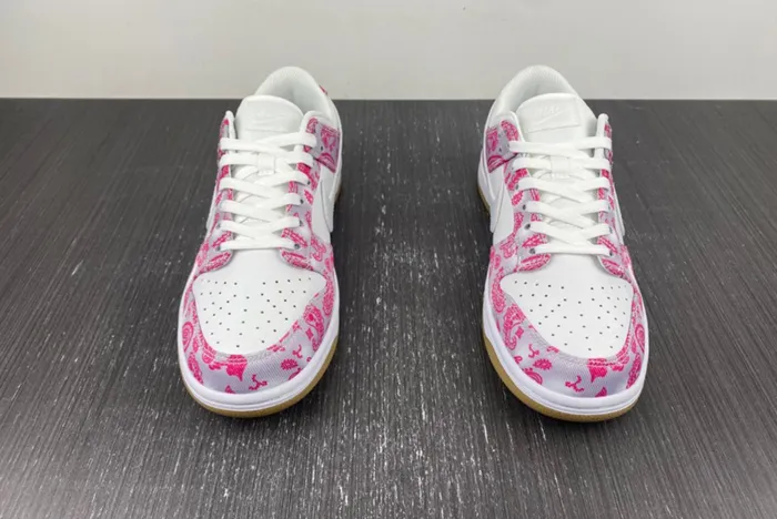 Nike SB Dunk Low Retro SP CT5053-061