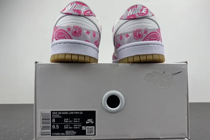 Nike SB Dunk Low Retro SP CT5053-061