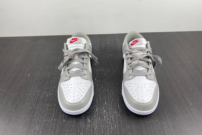 Dunk Low Light Iron Ore DQ7576-001