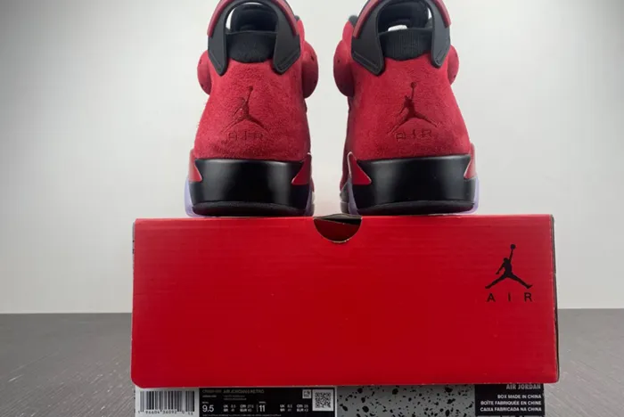 Air Jordan 6 Toro Bravo CT8529 600