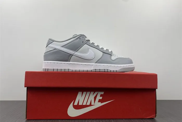 Nike Dunk Low Retro Wolf Grey DJ6188-001