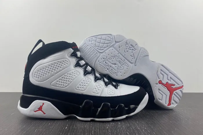 Air Jordan 9 Particle Grey 302370-112