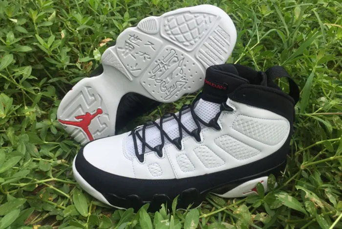 Air Jordan 9 Particle Grey 302370-112