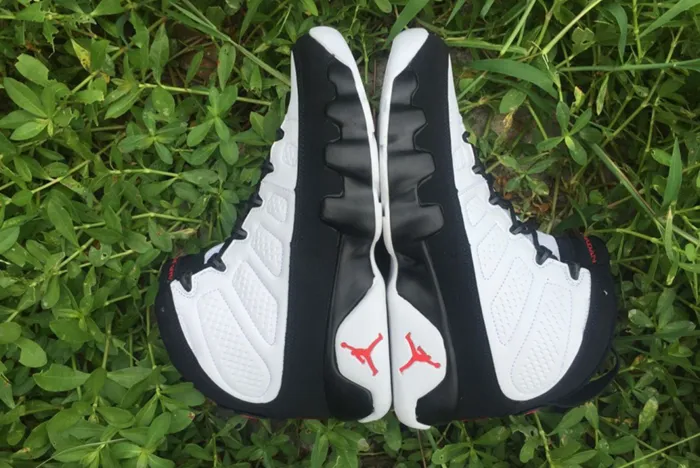 Air Jordan 9 Particle Grey 302370-112