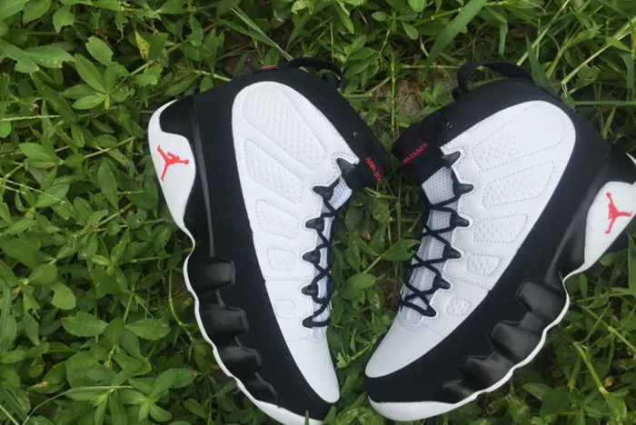 Air Jordan 9 Particle Grey 302370-112