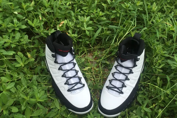 Air Jordan 9 Particle Grey 302370-112