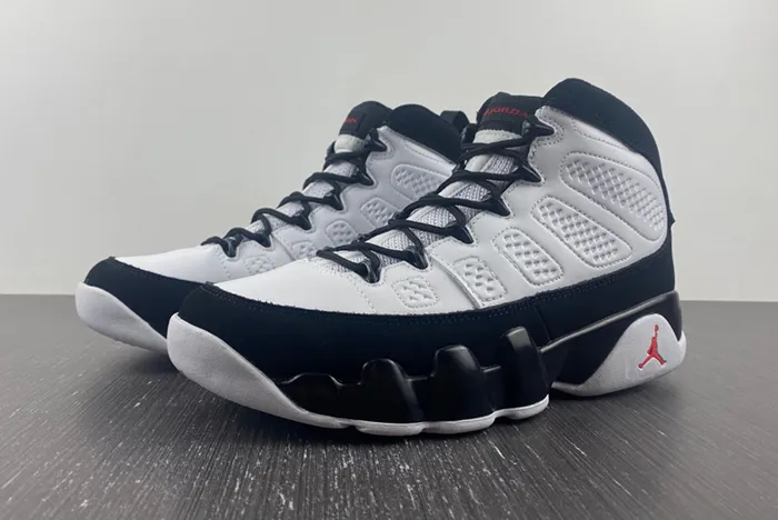 Air Jordan 9 Particle Grey 302370-112