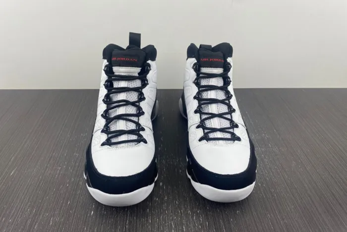 Air Jordan 9 Particle Grey 302370-112