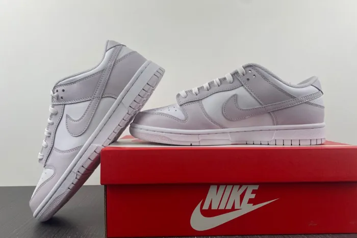 Nike Dunk Low Light Violet DD1503 116