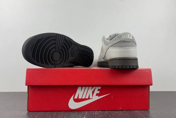 Nike Dunk Low Phantom Light Iron Ore Ironstone FD9746 001