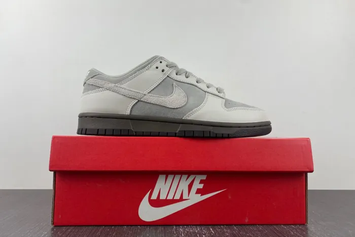 Nike Dunk Low Phantom Light Iron Ore Ironstone FD9746 001