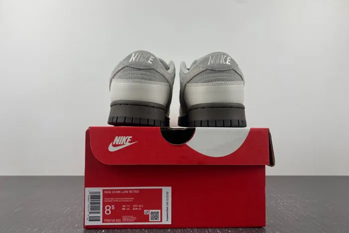 Nike Dunk Low Phantom Light Iron Ore Ironstone FD9746 001