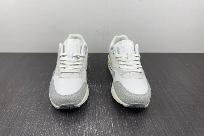 Nike Air Max 1 Safari FB5059-100