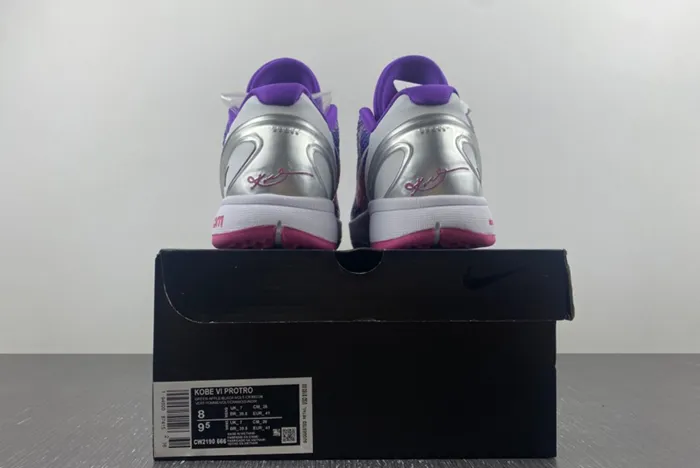 Kobe 6 Protro CW2190-666