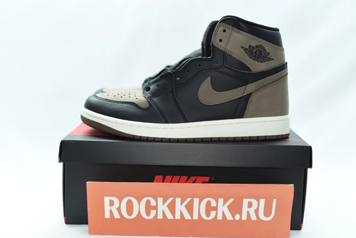 Air Jordan 1 High OG Palomino DZ5485-020
