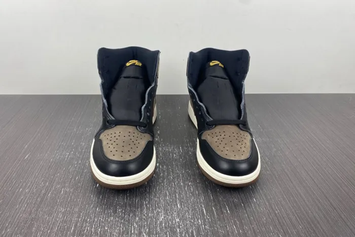 Air Jordan 1 High OG Palomino DZ5485-020