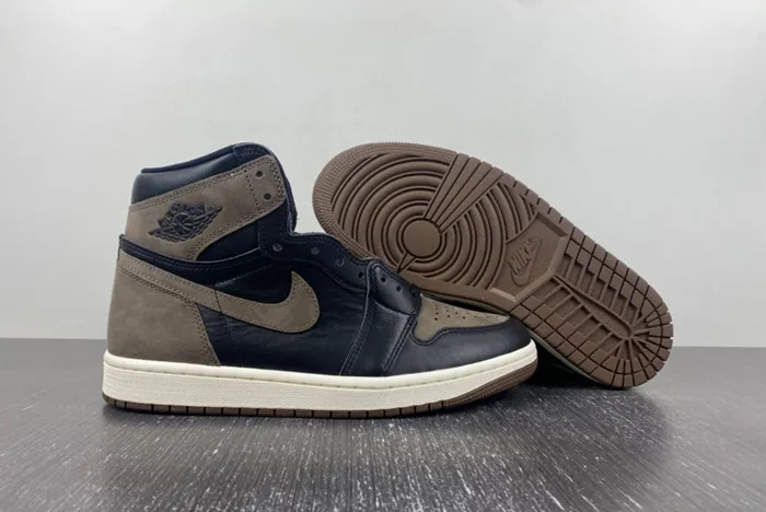 Air Jordan 1 High OG Palomino DZ5485-020
