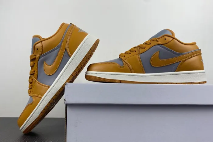 Air Jordan 1 Low DC0774-020
