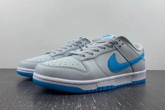 Dunk Low Retro DV0831-001