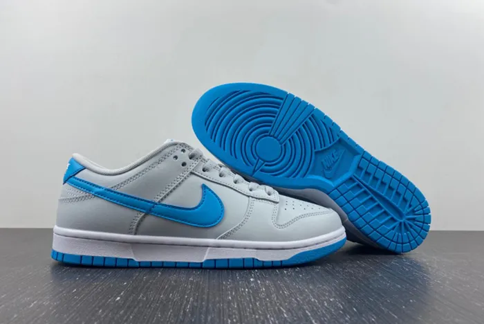 Dunk Low Retro DV0831-001