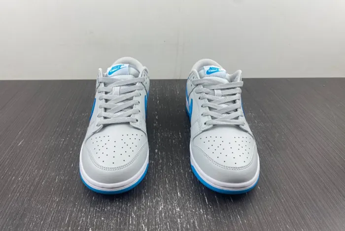 Dunk Low Retro DV0831-001