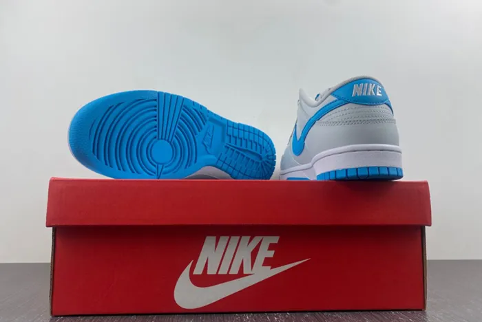 Dunk Low Retro DV0831-001