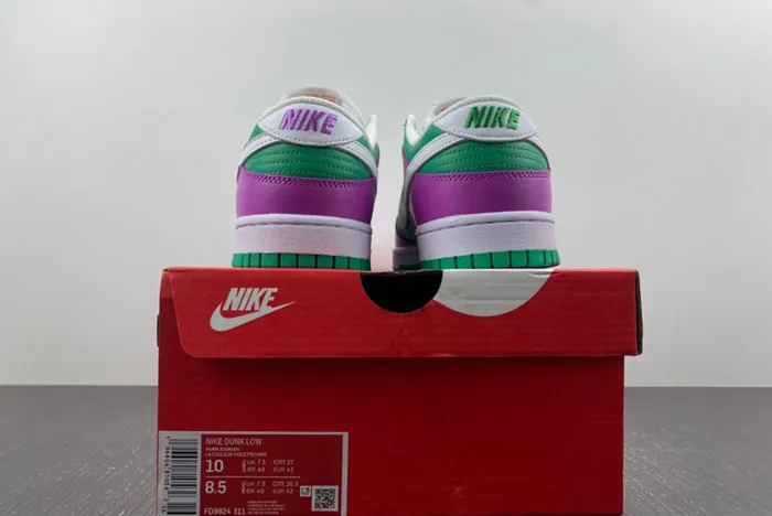 NIKE Dunk Low FD9924-311