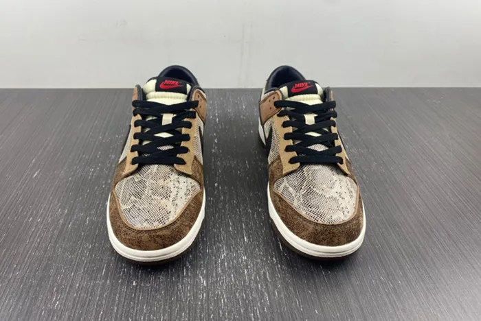 Nike Dunk Low CO.JP FJ5434-120