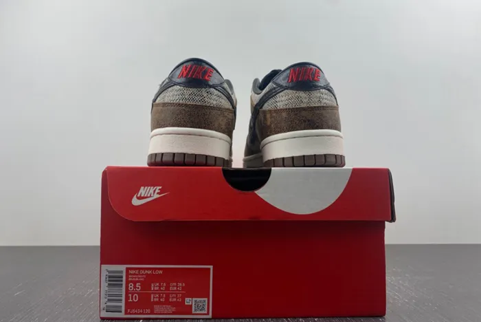 Nike Dunk Low CO.JP FJ5434-120