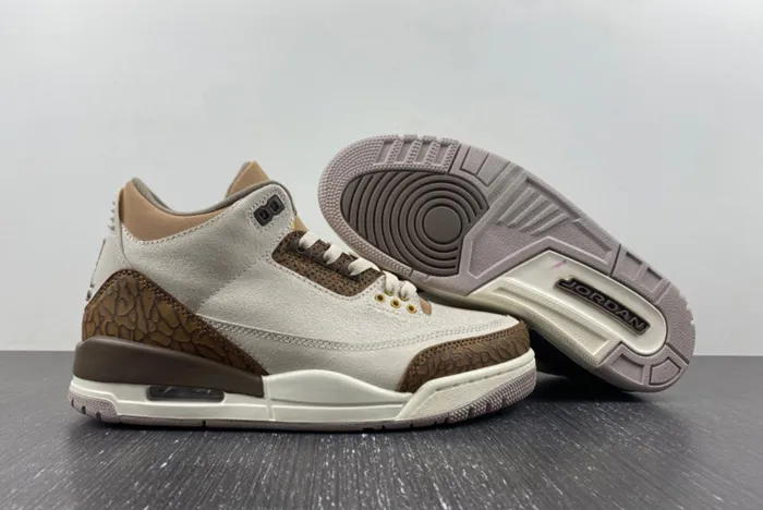 Air Jordan 3 Palomino CT8532-102