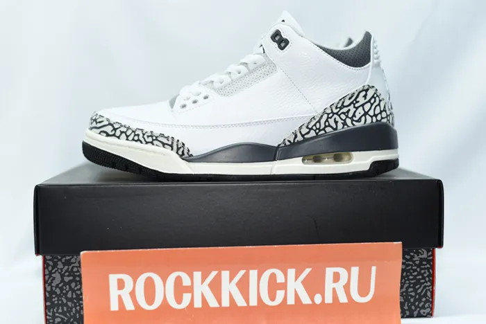 Air Jordan 3 GS Hide N’ Sneak DX6665-100